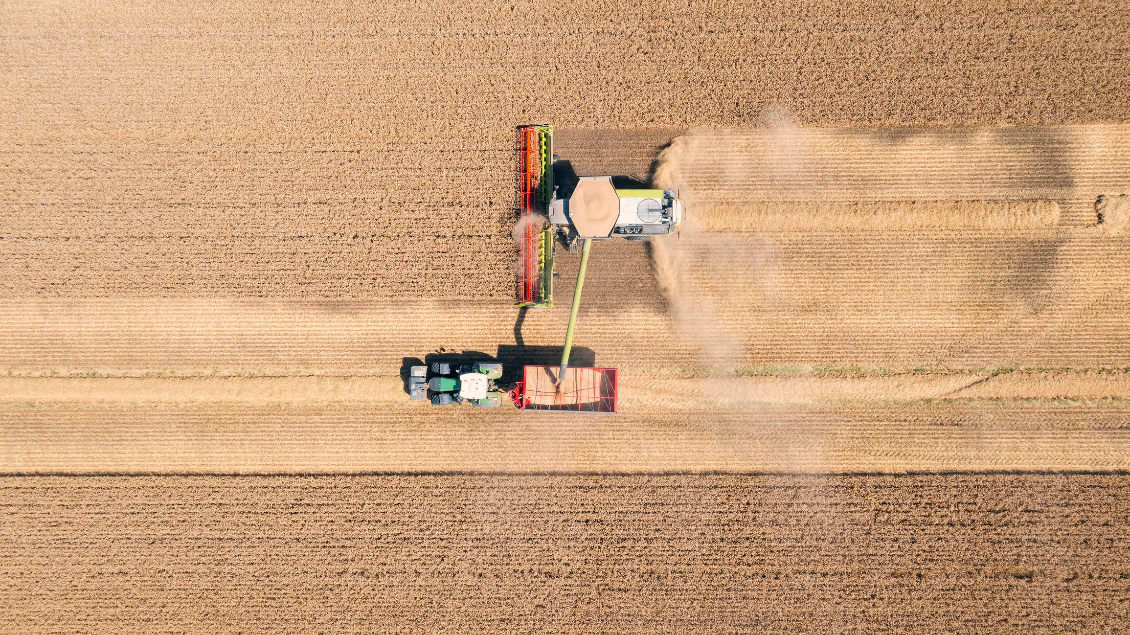 Landus employs AI tech and predictive analytics to give growers faster, more actionable insights