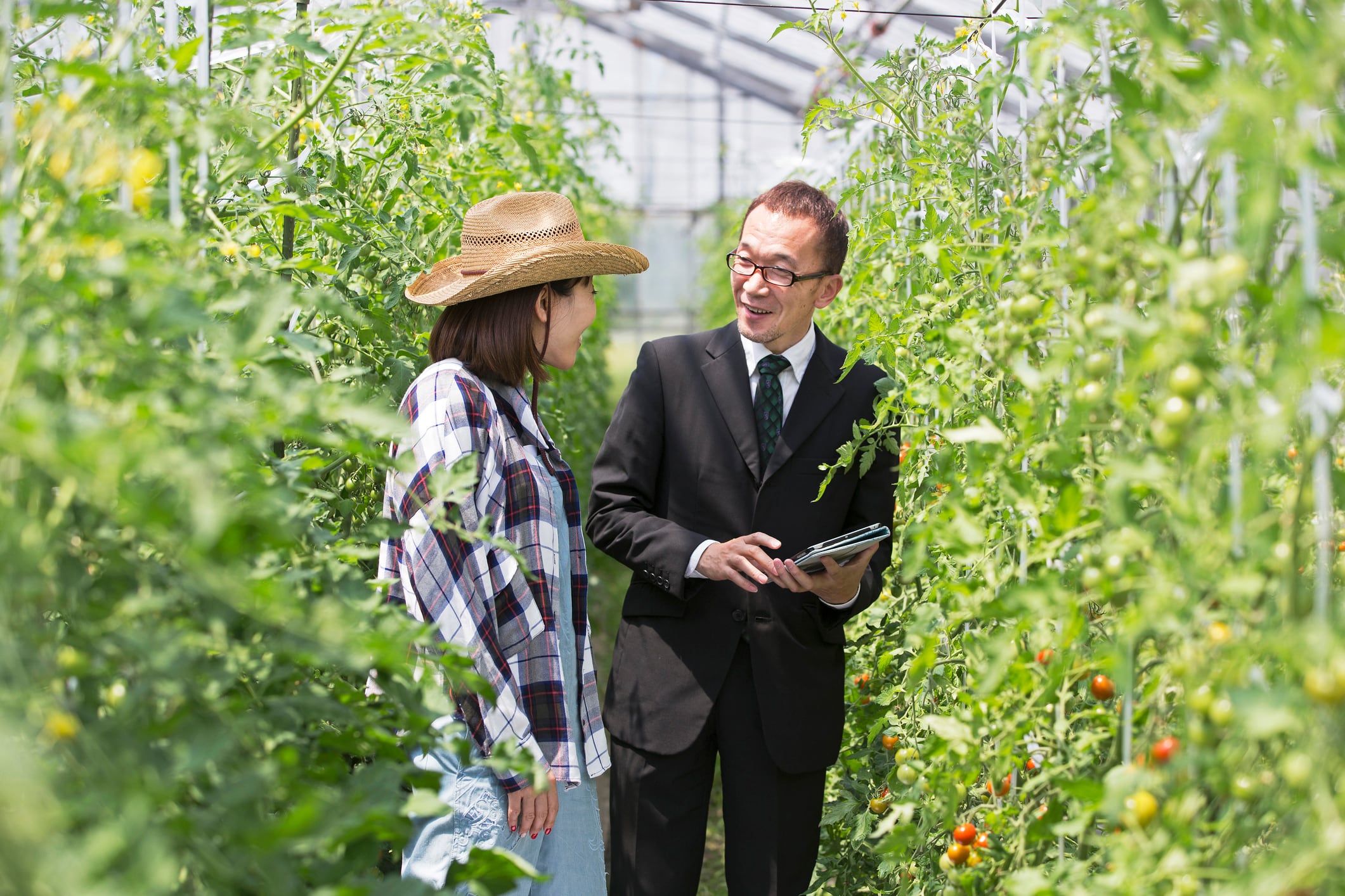Fill in the blanks: Japan turns to corporate farm ownership as it faces looming abandonment crisis
