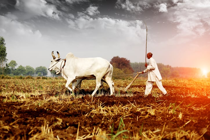 Market fragmentation hampers India agtech but public-private alignment brings hope