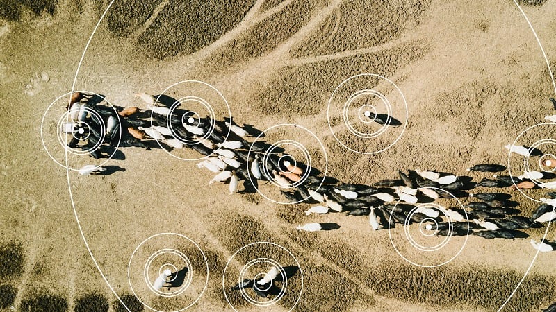 ‘For farmers, fail fast is fail forever,’ JBS’ head of sustainability shares why agtech can miss the mark