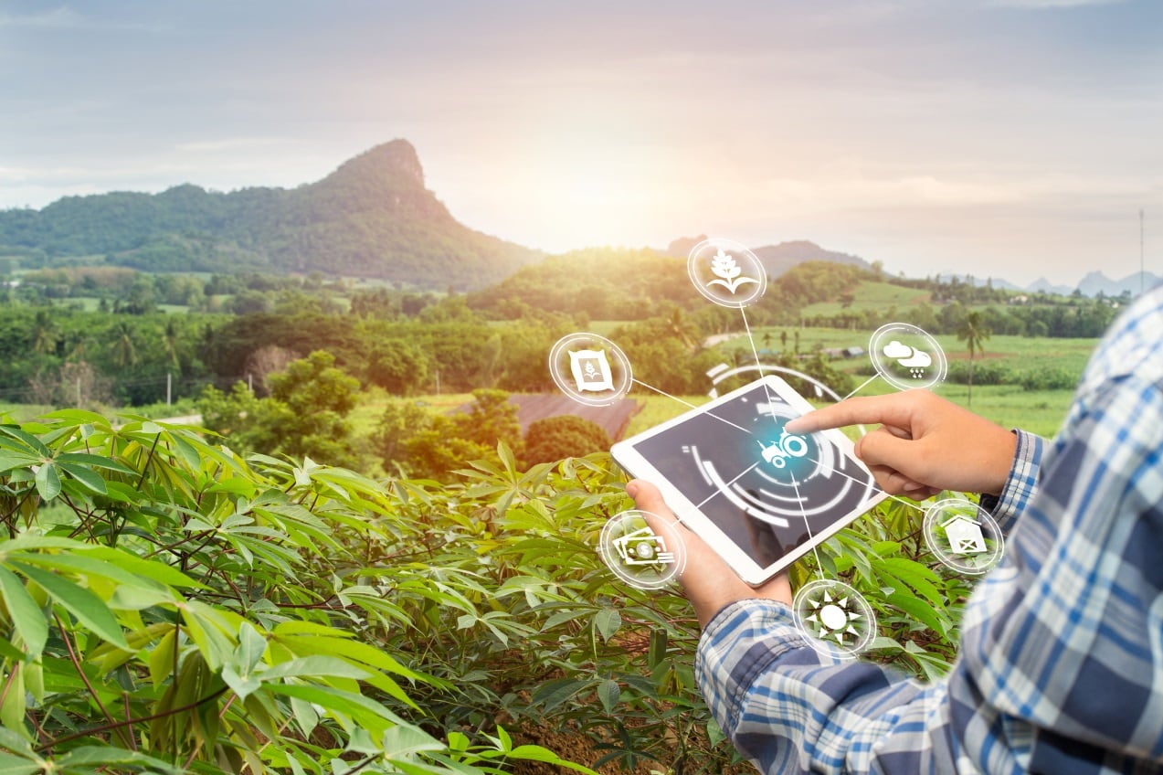 How can AI best be deployed to make agrifood more sustainable and resilient?
