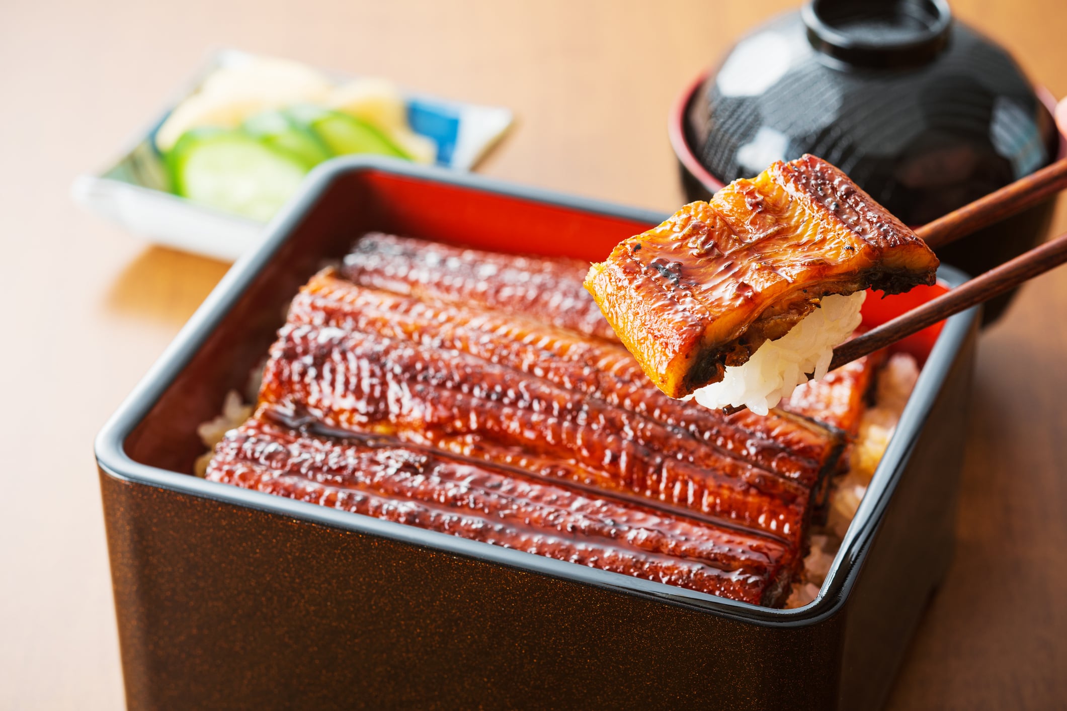 A slippery situation: Proposed CITES restrictions puts pressure on Asia’s eel producers