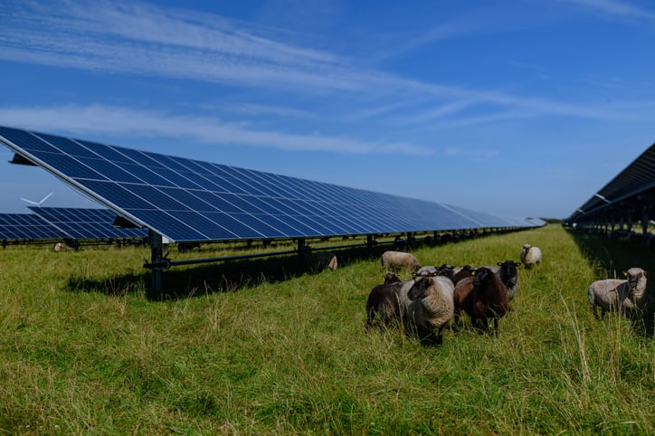 Cheer for Italy’s agrisolar sector as projects attract €185m