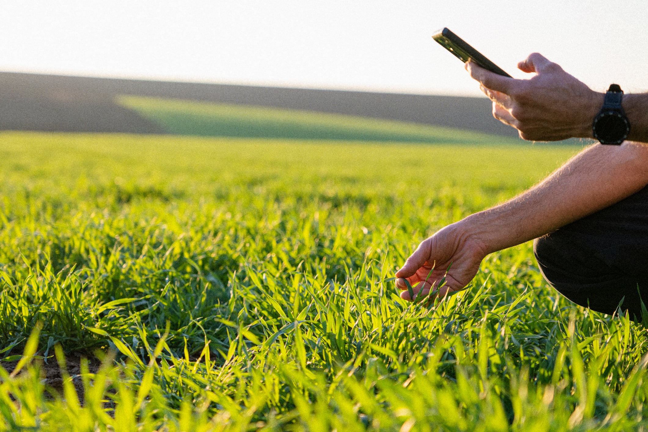 Upskilling workers ‘essential’ to realise benefits of AI-driven farming, report says