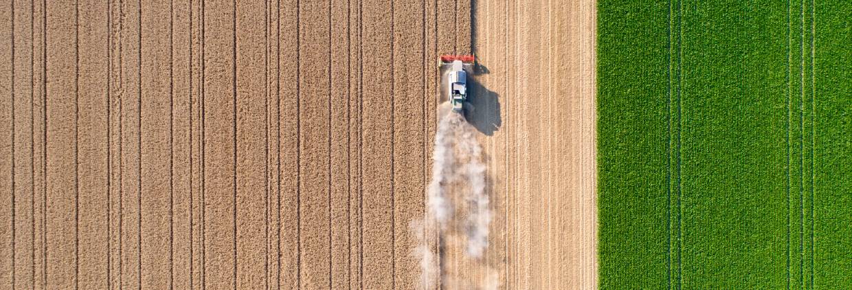 Biotech innovation: Funding scalable solutions for a healthy planet