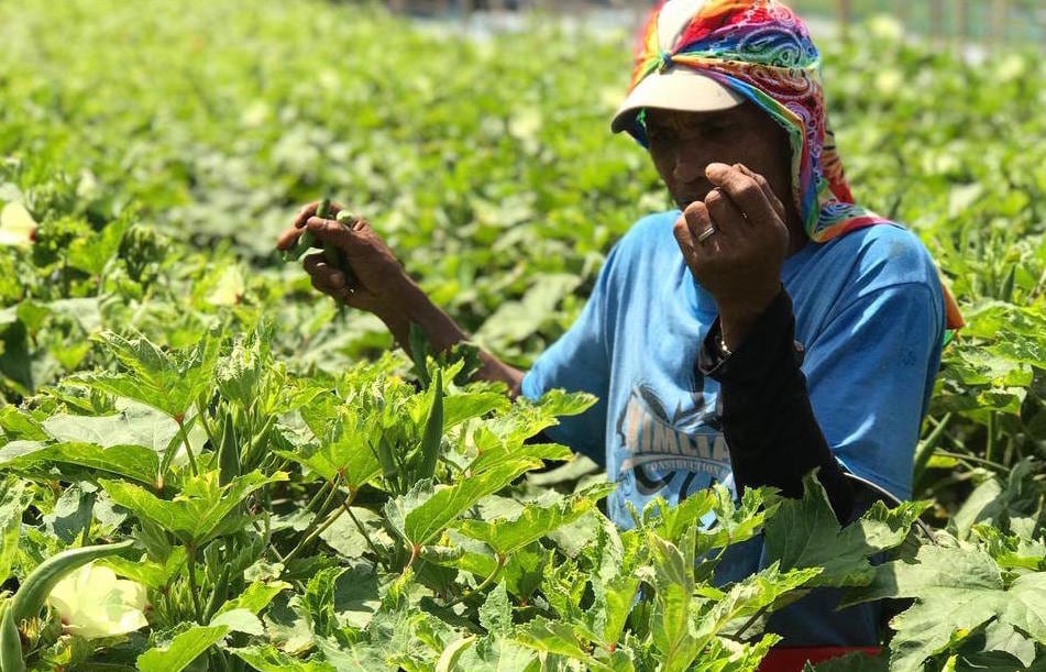 A movement, not a moment: HSBC-backed Bayan-Mayani initiative eyes long-term climate resilience impact in the Philippines