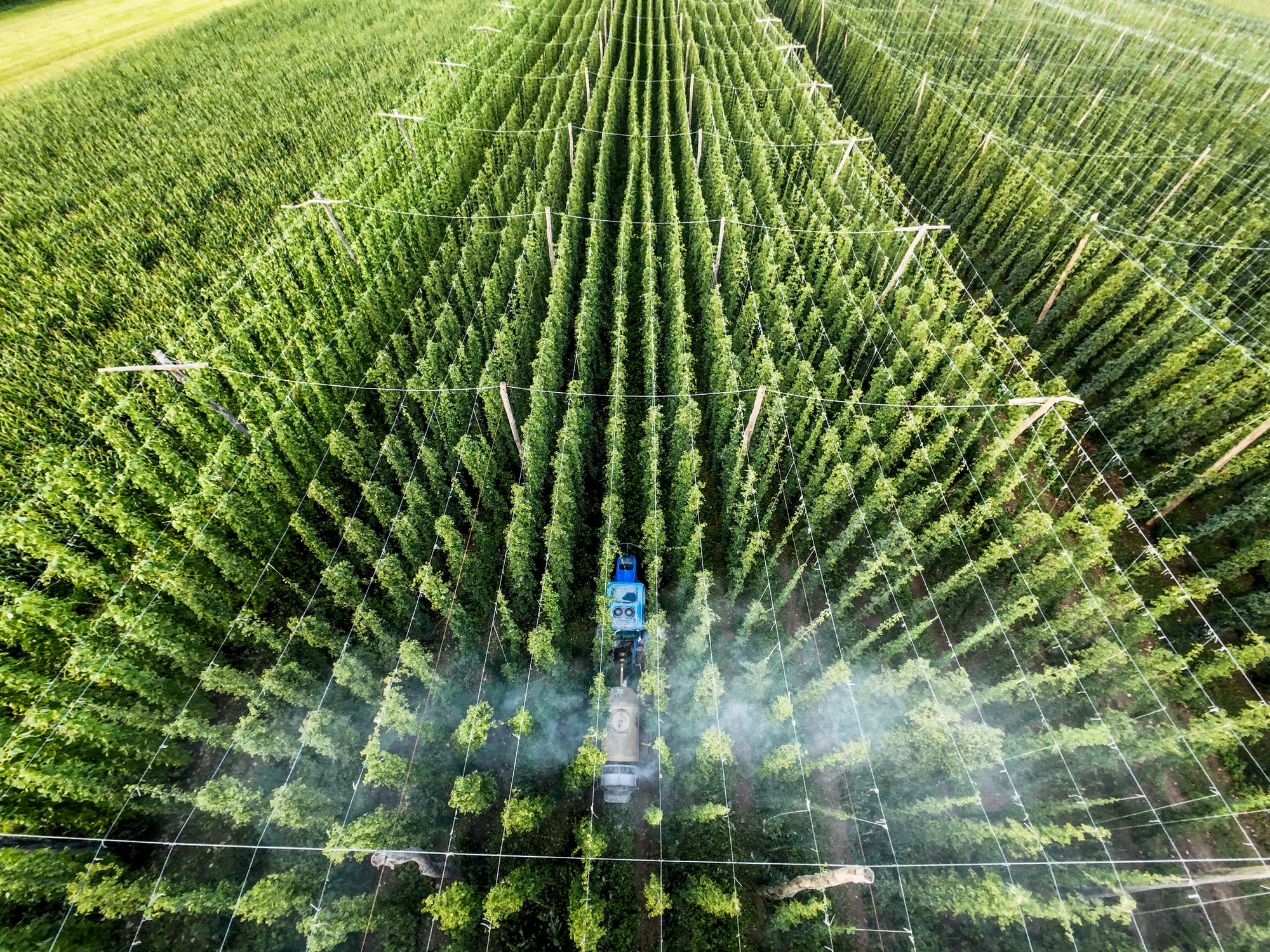 Autonomous vehicles: trust is the foundation of adoption, says AgriRobot