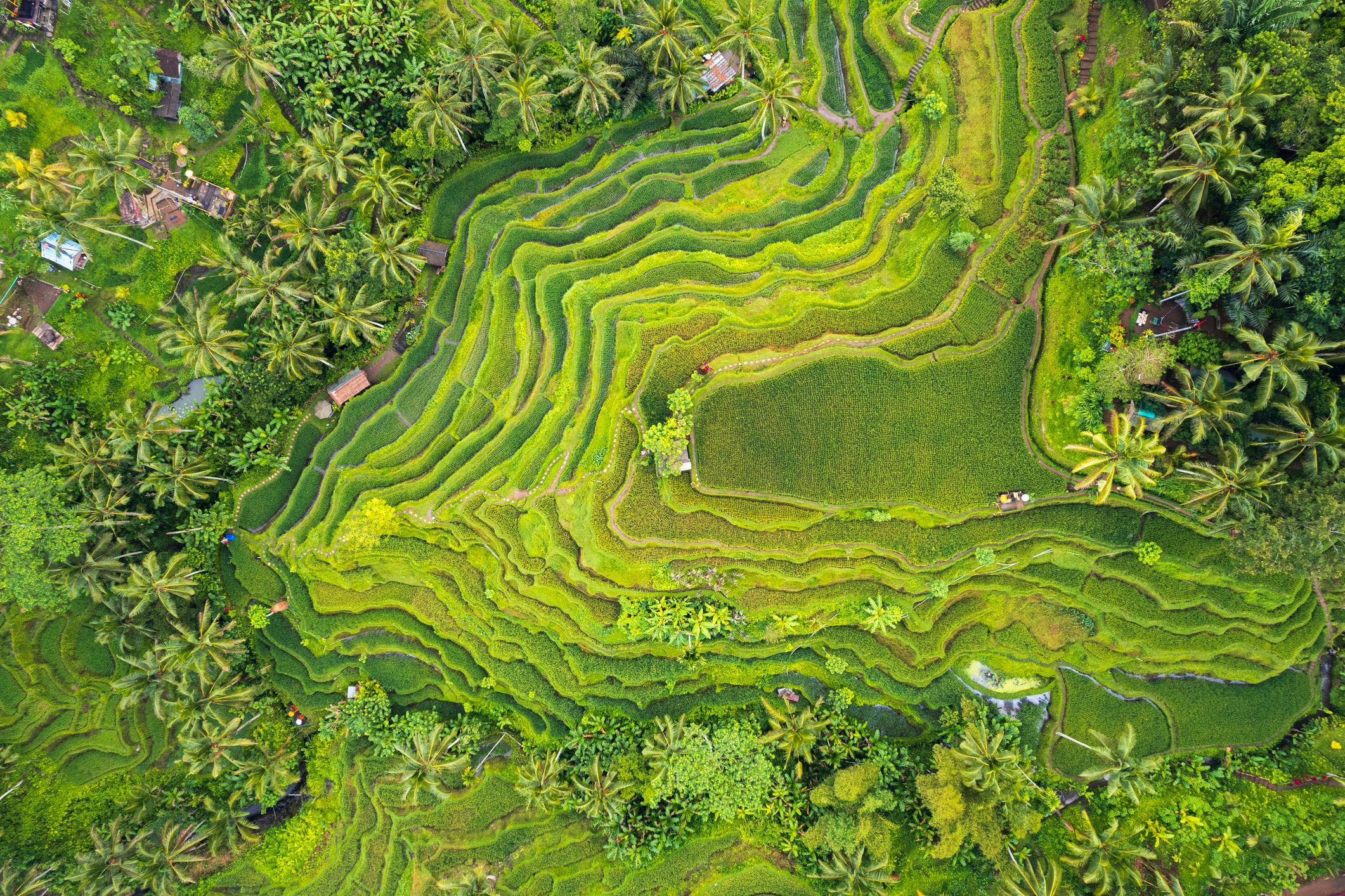 British biofertiliser start-up NZN eyes Asia after raising $6.6mn