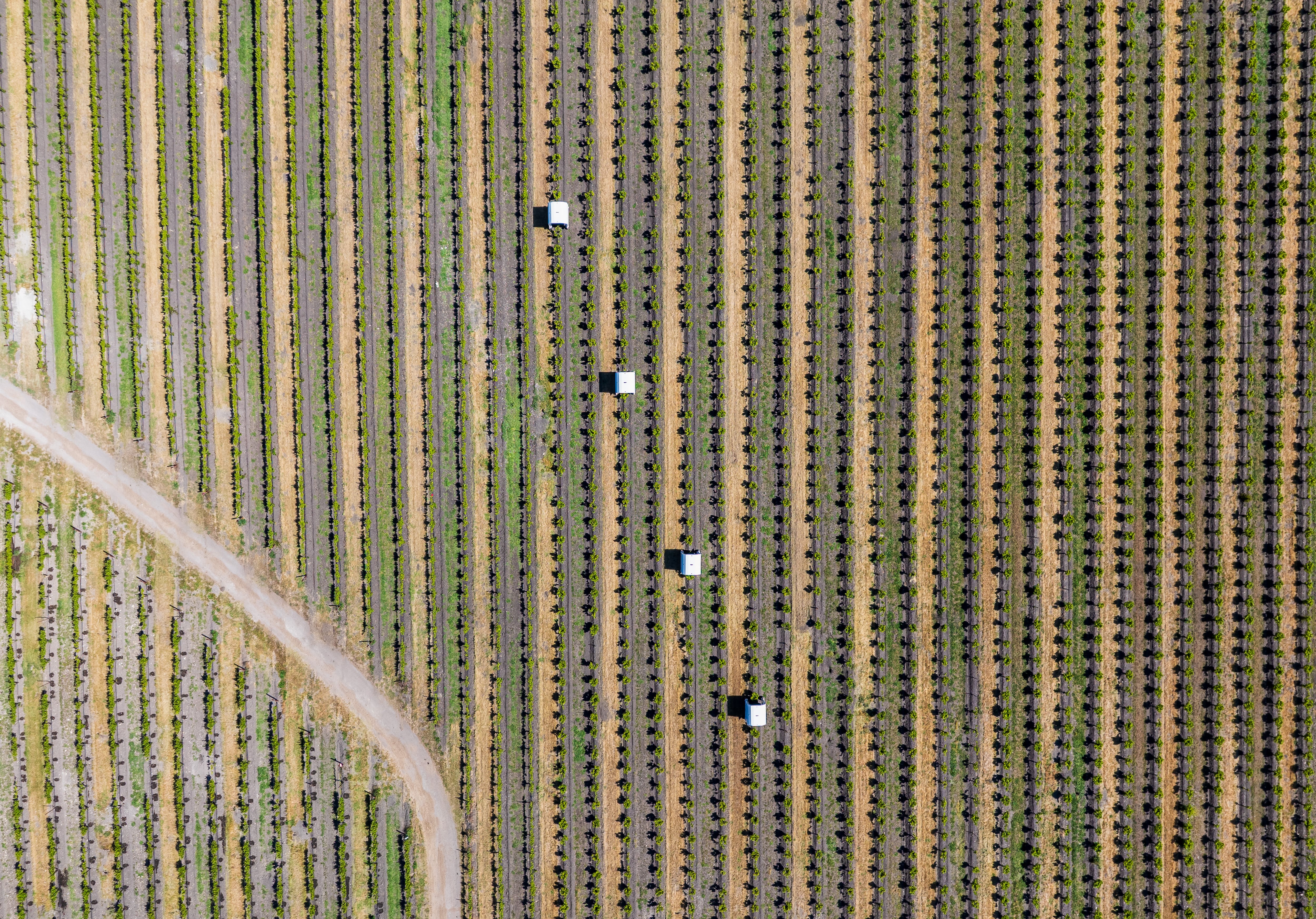 ‘The benefits are clear’: Saga Robotics on why it’s the chasing the American dream