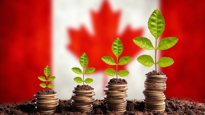 Farm Credit Canada bets big on homegrown agtech with $2 billion commitment