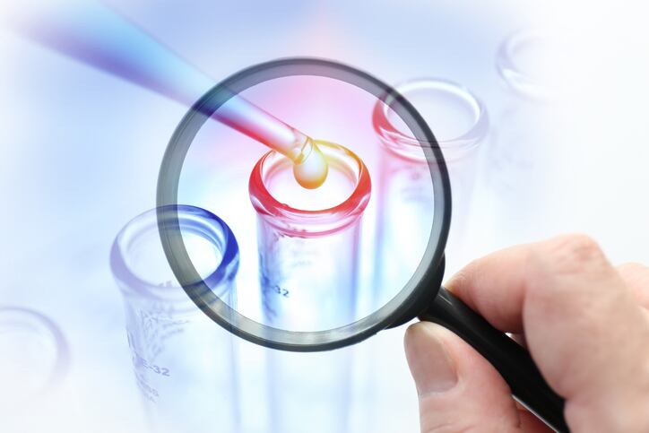 When will EU set limits on 'forever chemicals' in feed?