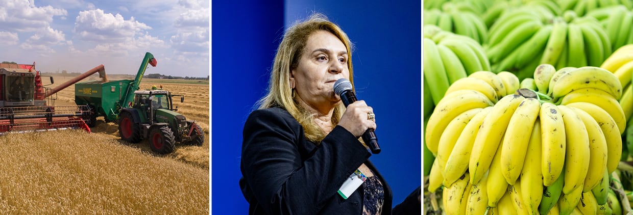 Driving sustainable and climate-smart practices in South America