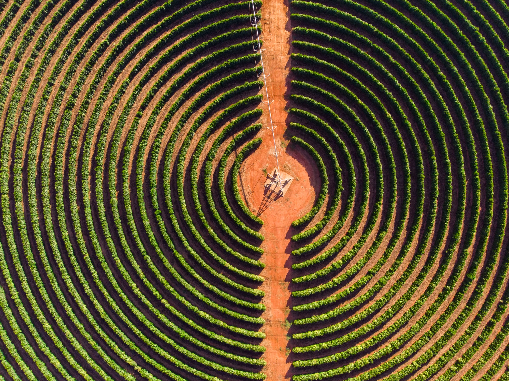 Upcoming at the World Agri-Tech South America Summit – 7 speakers to whet your appetite