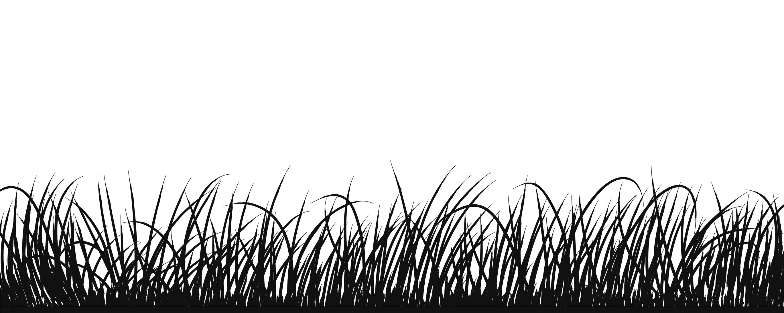 Moa steps up hunt for ‘safe, effective and affordable’ biological herbicide