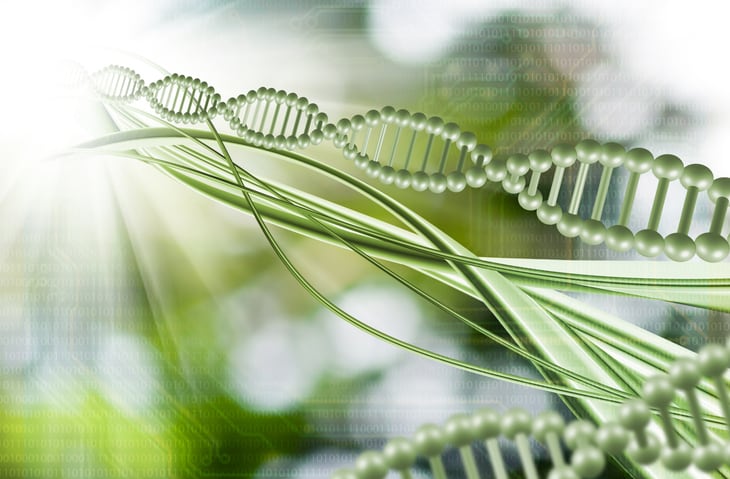 EU food industry pushes for transparency in gene editing regulations