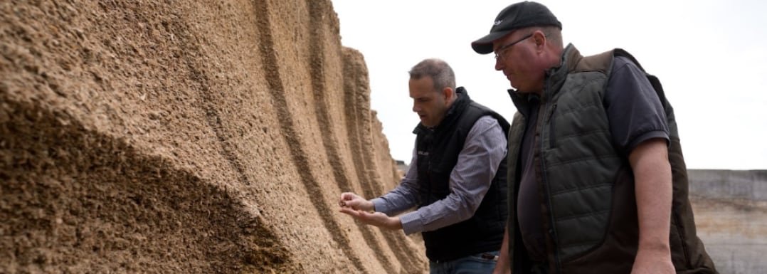 Silage quality: Understanding and managing the forage quality puzzle