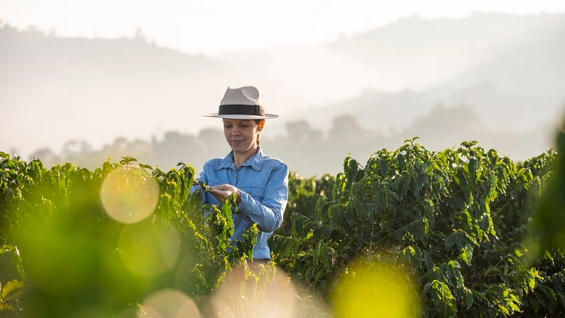 5 agri-food start-ups selected for Eatable Adventures’ Raíces accelerator 