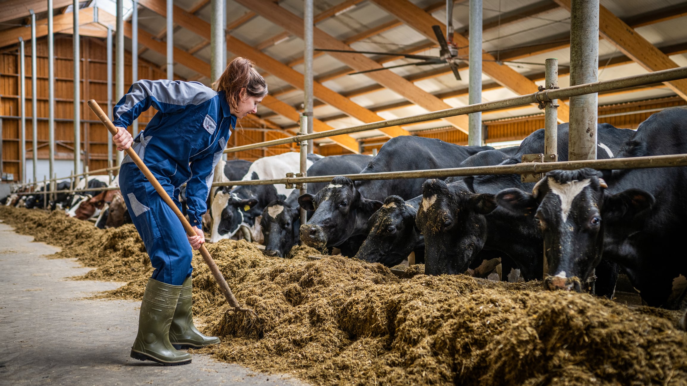 Modest growth forecast for EU feed production