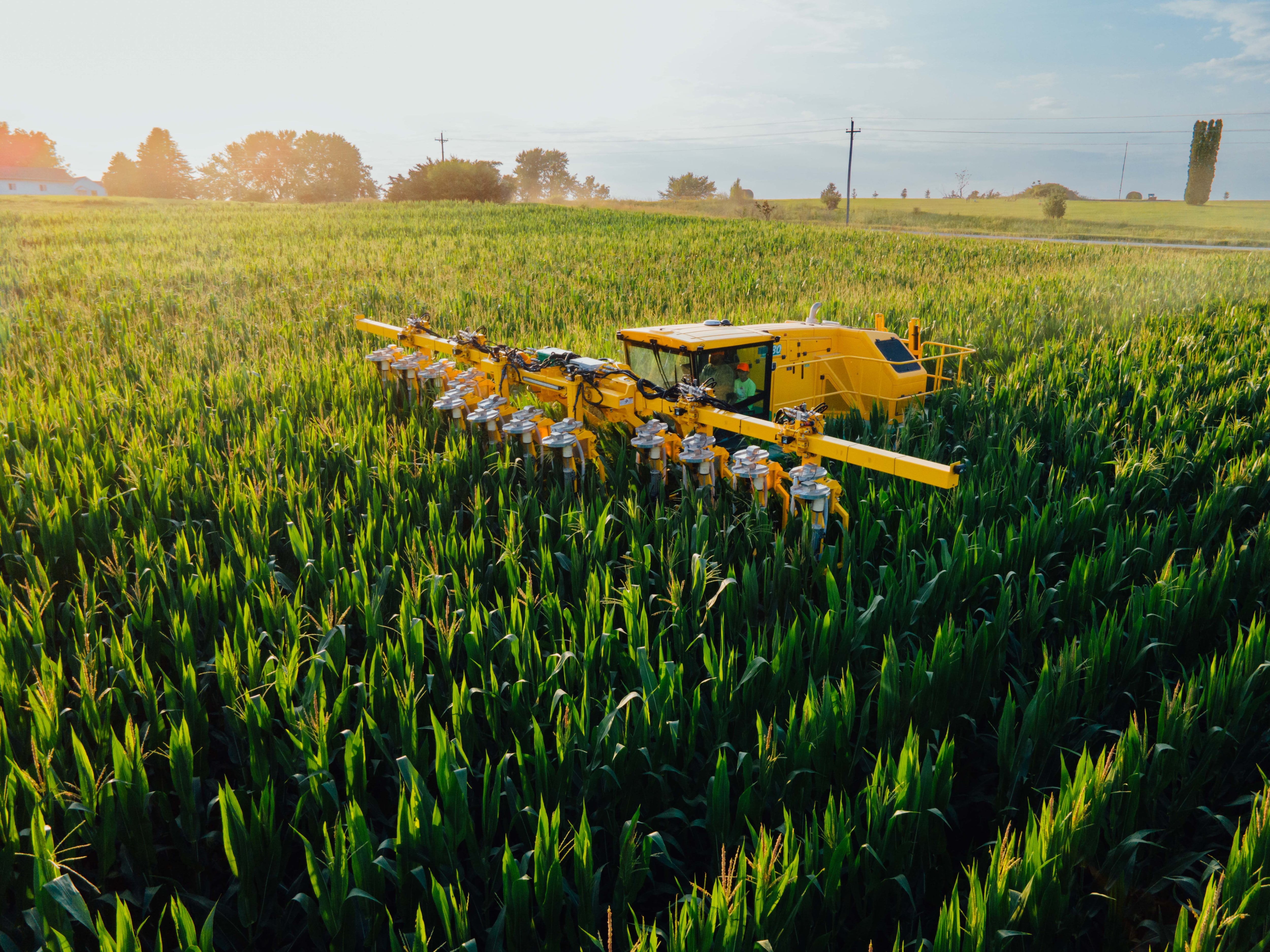 PowerPollen celebrates patent for ‘groundbreaking’ pollen storage tech