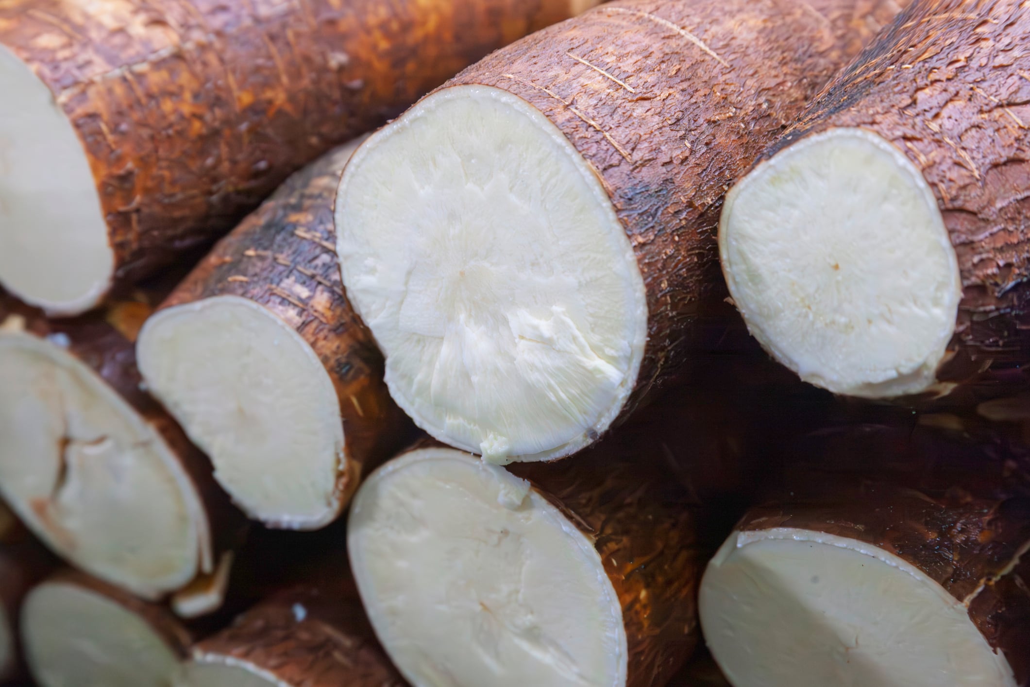 Looping in value: Vietnam-Japan circular cassava project aims to boost value of top exports