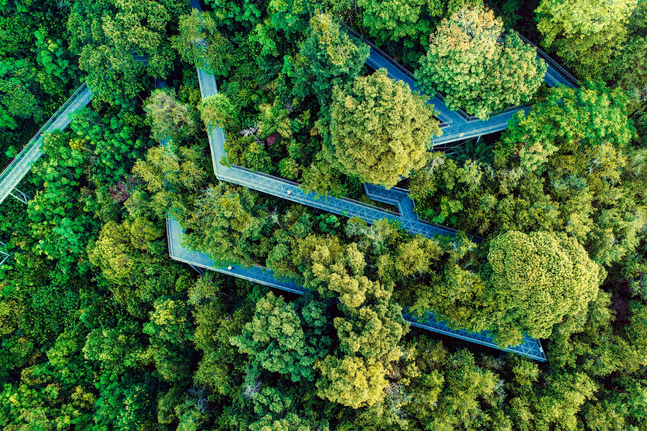 Lack of policies, investments, local demand hinder sustainable agriculture advancement in SEA