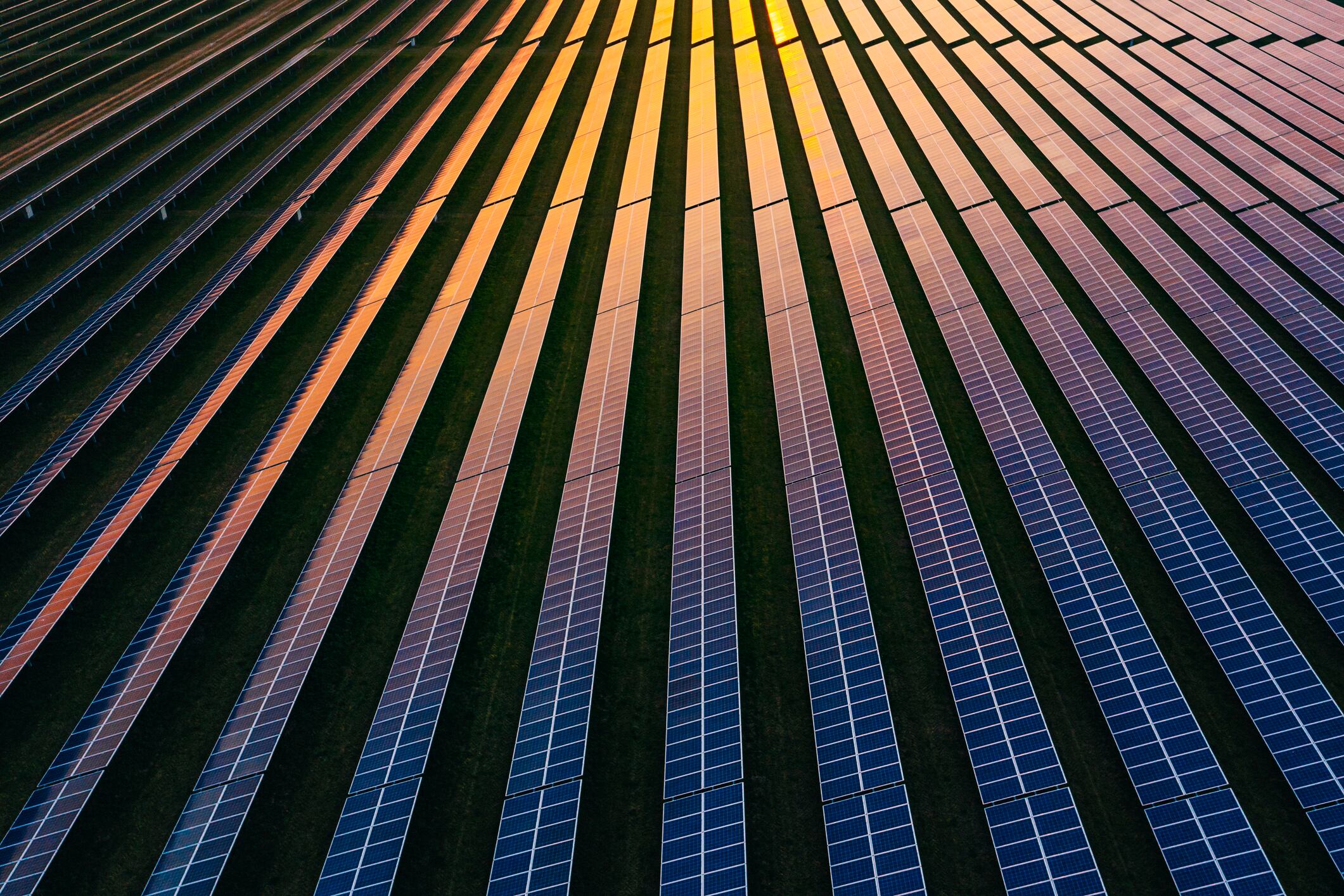 Seeing the light: Why crops versus solar panels doesn’t have to be a zero-sum game