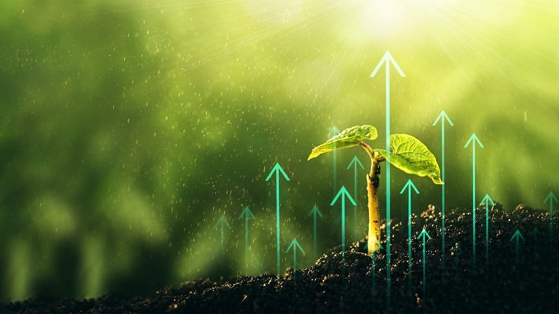 Agtech funding in 2025 ‘is not all doom and gloom,’ Rabobank reports
