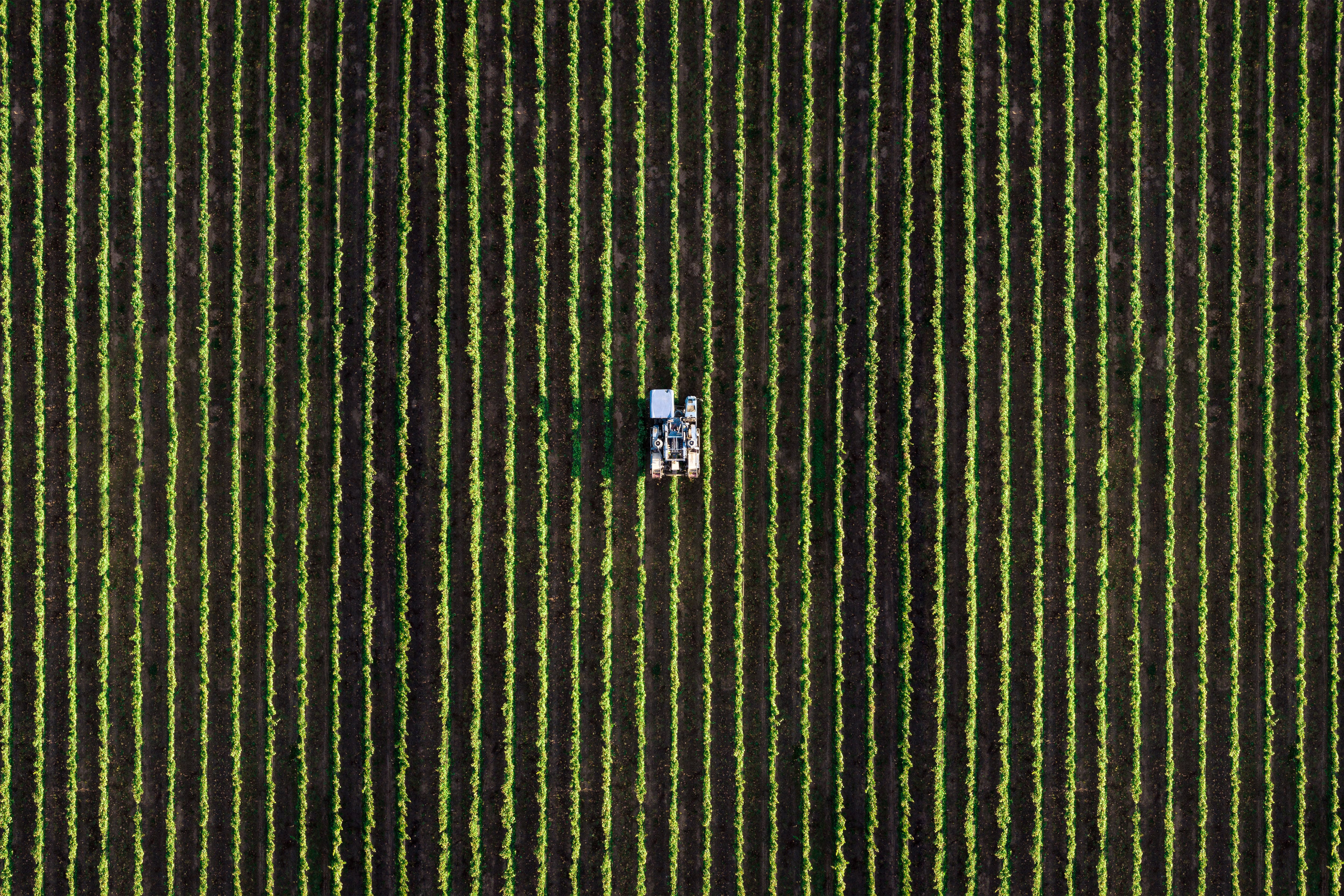 Sabanto says automation and robotics can thrive amid Trump tariff uncertainty