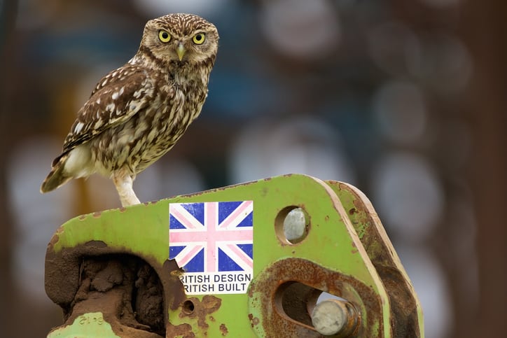 UK agtech faces funding, scalability challenges amid sustainability and Brexit concerns