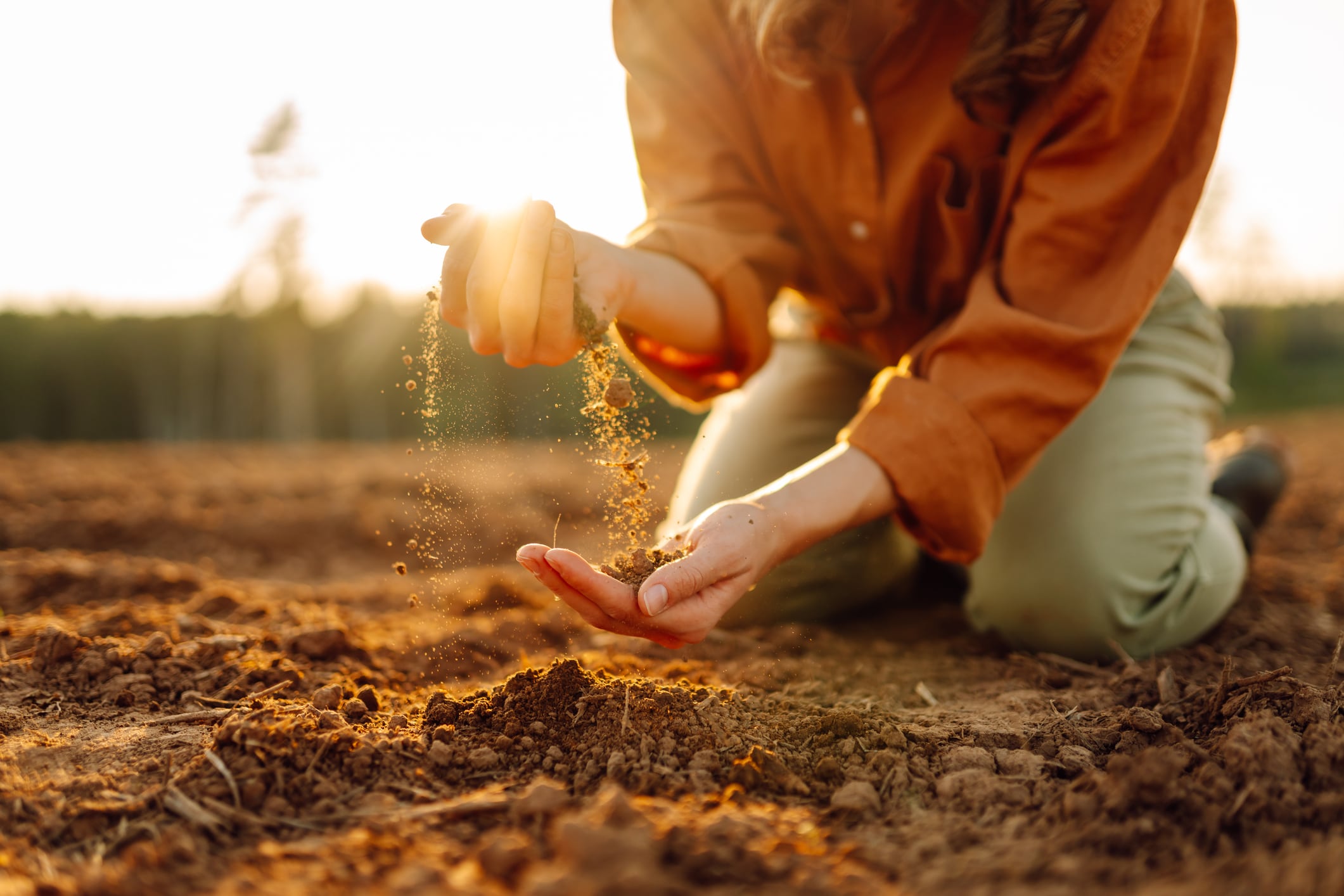 UK start-up Elaniti tackles ‘urgent need’ for soil microbiome intelligence