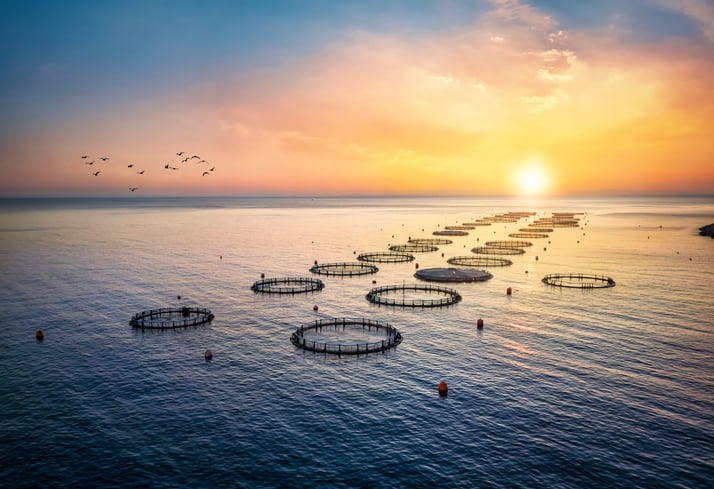 Aquaculture is growing – so will the complaints about its ecological damage
