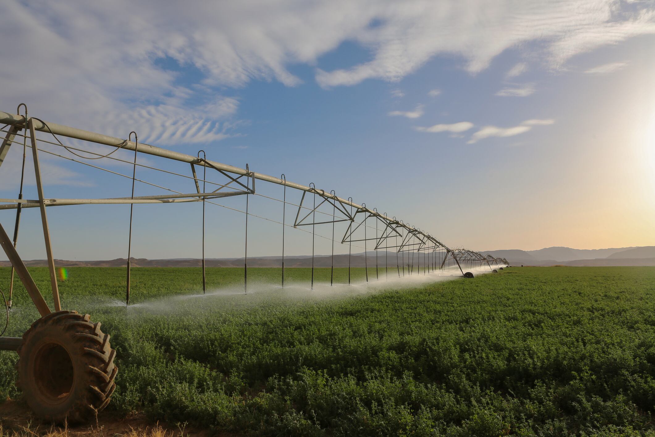 Agri alliance: Indonesia-Jordan agriculture pact will focus on trade, training, tech