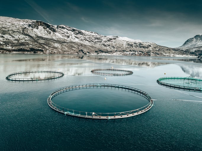 Norwegian land and fish farming: How to achieve a circular phosphorus economy 
