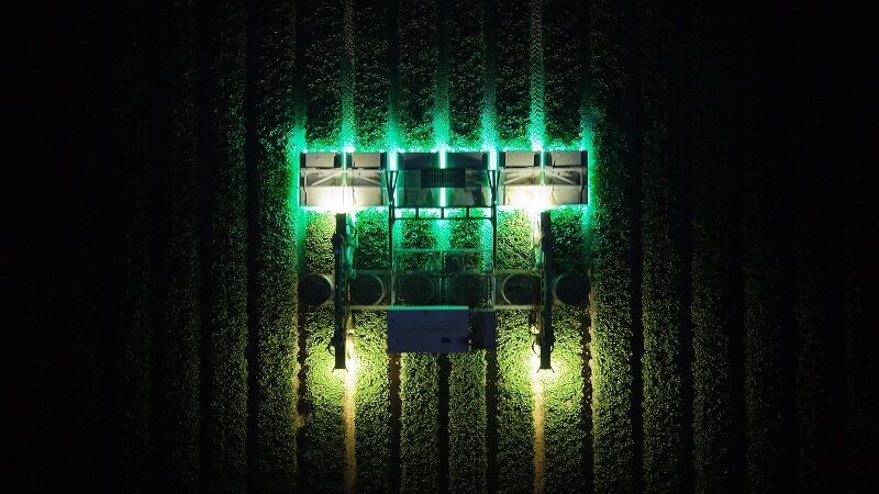 Robotics start-up raises $5.5m in seed funding to scale chemical-free way to treat strawberries