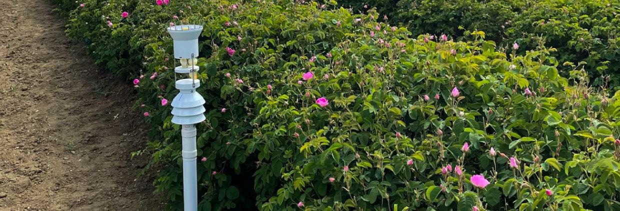 From fields to streams: How a water replenishment program is supporting net-zero goals