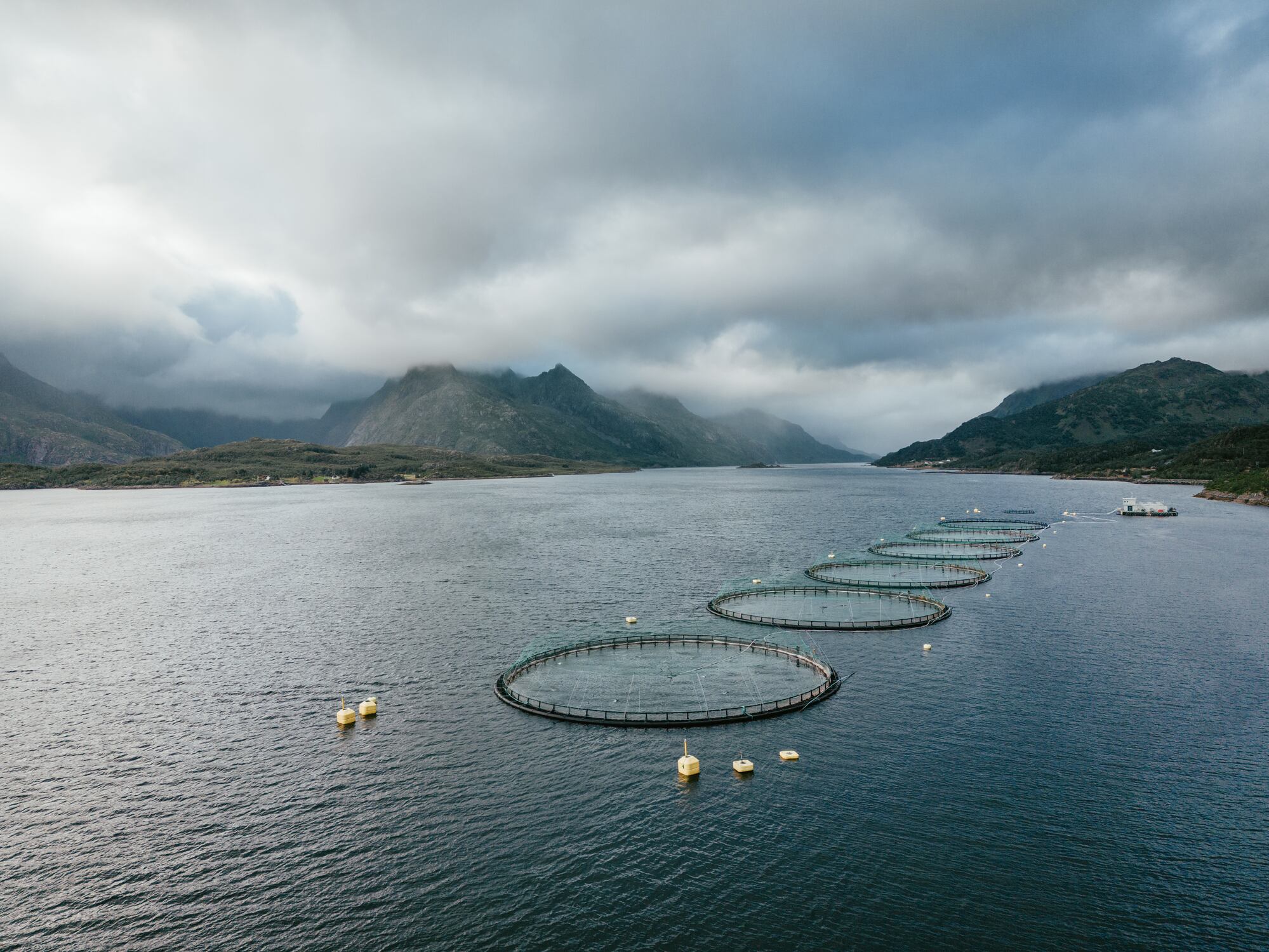 Benchmark divests genetics business