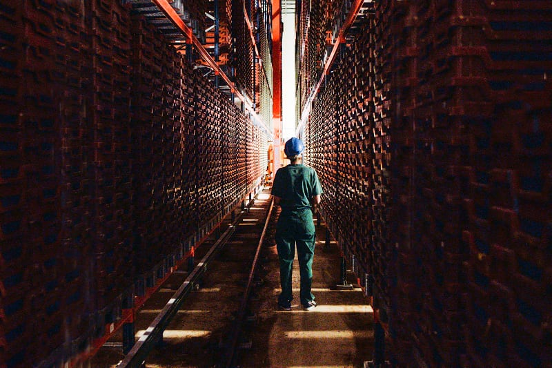 What’s gone wrong for Ynsect?